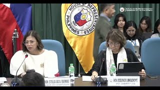 LIVE COMMITTEE ON APPROPRIATIONS  BUDGET BRIEFINGHEARINGS OF THE FY 2025 PROPOSED BUDGET CHR [upl. by Sinclair]