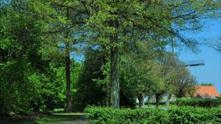 Wandeling om DE Heeg Maastricht [upl. by Biagi180]