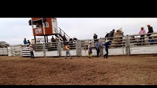 Bullriding Finals at the Great Sandhills Rodeo August 8 2021 [upl. by Aliakim]