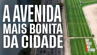 A AVENIDA MAIS BONITA DA CIDADE  Arquitetura verde galerias atividades e moradores diversos [upl. by Rosella862]