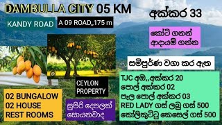 NO363  සින්නක්කර අක්කර 33TJC අඔ අක්කර 20පොල් ගස් ලබුකෙසෙල් බෝග අක්කර 13 ක් සමිපුර්ණ වගාවක් [upl. by Meeharb210]