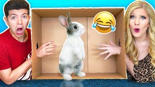 Whats In The Box Challenge with My Wife Live Animals Snake Lizard Giant Toad [upl. by Ellehcrad]