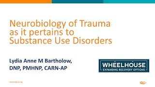 Neurobiology of Trauma as it pertains to Substance Use Disorders 34 [upl. by Edrei]