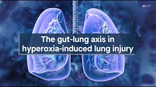 Uncovering the gutlung axis in hyperoxiainduced lung injury [upl. by Lerred492]