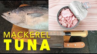 Mackerel vs Tuna Which is a Better Source of Omega3 Fatty Acids [upl. by Elo846]