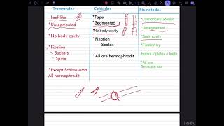 شرح مدخل الطفيليات Medical parasitology 1Nematodes 2cestodes 3Trematodes المحاضرة الأولى [upl. by Nodanrb]