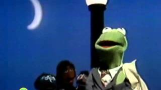 Classic Sesame Street  Kermit Sings quotThis Frogquot [upl. by Aelgna632]