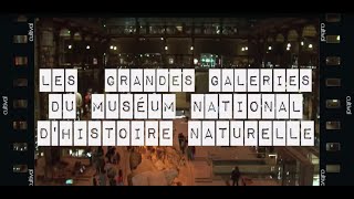 Visite insolite à Paris  les Grandes Galeries du Museum national dHistoire naturelle [upl. by Haleigh]