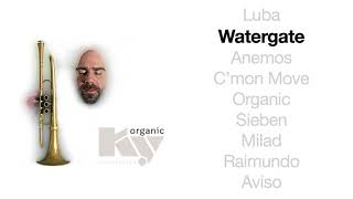 STUDNITZKY  Watergate Official Audio  KY Organic 2017 HD [upl. by Navap]