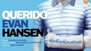 14  Querido Evan Hansen  Finale [upl. by Ayamat]