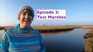 Episode 2 secret swimming spots near major roads Test Marshes [upl. by Odine]