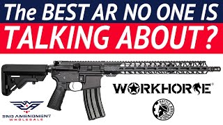 The BEST AR15 No One Is Talking About [upl. by Pietro]