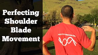 Shoulder Rotator Cuff Exercises 2  Shoulder Blade Exercises [upl. by Namaan]