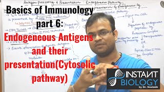 Immunology Part 6 Endogeneous pathway of Antigen processing and Presentation CYTOSOLIC PATHWAY [upl. by Leboff]