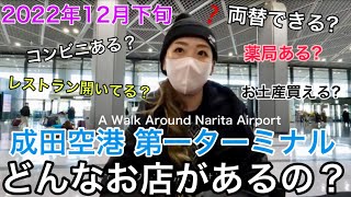 【初心者向け】成田空港完全ガイド！第一ターミナルにはどんなお店があるの？渡航前にショッピング！東京駅からの空港バスの様子も｜A Walk Around Narita Ariport Japan🇯🇵 [upl. by Suoicerpal337]