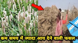 ईसबगोल की खेती  Psyllium Seed Husk  Plantago ovata  Isabgol Cultivation [upl. by Oremor]