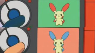 Plusle and Minun Pokedex Entry no311312 [upl. by Inuat604]