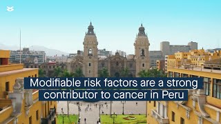 Estimating the contribution of modifiable risk factors to cancer cases and deaths in Peru [upl. by Euqinehs]