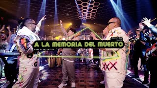 A La Memoria Del Muerto Cali Flow Latino Fruko  Video Oficial [upl. by Airekahs]