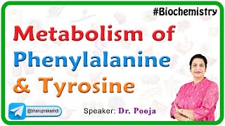 Metabolism of Phenylalanine and Tyrosine  Phenylketonuria PKU Alkaptonuria and Tyrosinemia [upl. by Eseer463]