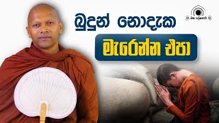 බුදුන් නොදැක මැරෙන්න එපා [upl. by Hamal]