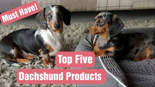 FIVE Things You Should Have Before Bringing Your DACHSHUND PUPPY Home [upl. by Yzmar]