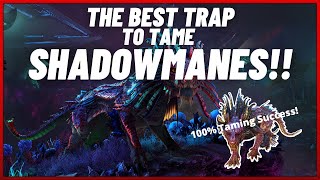 GUIDE How to EASILY TAME SHADOWMANES with this OP TRAP  ARK [upl. by Boutis]