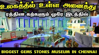 உலகத்தில் உள்ள அனைத்து Gems Stones ஒரே இடத்தில்👌👌GEM Stone Museum in Chennai இவ்வளவு கம்மி விலையில் [upl. by Bondon887]