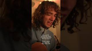 TEMPER TEMPER  Lime Cordiale tempertemper limecordiale cover [upl. by Reiter537]