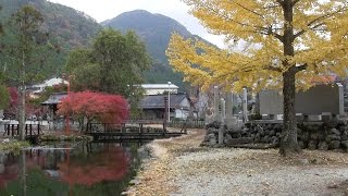 みたらい渓谷～洞川（Mitarai Valley～Dorogawa） [upl. by Berlin405]