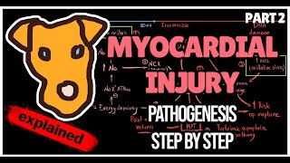 Mechanism of Ischemic Injury Pathogenesis of Myocardial infarction Myocardial injury [upl. by Lagas]