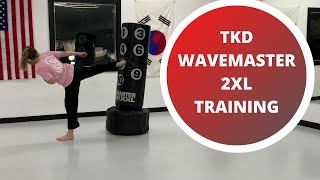 Wavemaster 2XL Taekwondo Training [upl. by Kermie638]