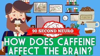 How does caffeine affect the brain [upl. by Kloster]