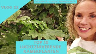 Dé top 10 van de meest luchtzuiverende kamerplanten [upl. by Berga]