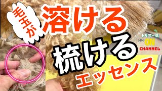 毛玉が溶ける様に梳けるエッセンスはコレ！トリミング必須アイテム toypoodle トイプードル トリマー 毛玉犬 [upl. by Mab515]