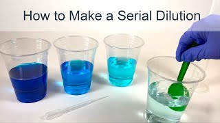 How to Make a Serial Dilution [upl. by Netsryk41]