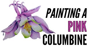 How To Paint A Columbine Flower With Inktense In Pink [upl. by Ailat]