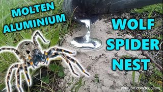 Molten Aluminium Casting WOLF SPIDERTRAP DOOR SPIDER NEST [upl. by Eleira]