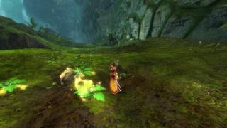 Celestial Rooster Harvesting Tool HimmlischerHahnErntewerkzeug  Guild Wars 2 [upl. by Willett767]