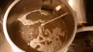 Malting Barley  Steeping [upl. by Pancho]