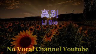 Li Bie  离别  Male Karaoke Mandarin  No Vocal [upl. by Jeaz572]