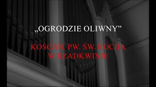 quotOgrodzie oliwnyquot 138 [upl. by Draner]