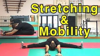 Stretching Mobilità Spalle e Allungamento Muscolare Schiena  Gambe  tutorial 1 [upl. by Ybocaj]