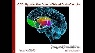 Toward Rapid Acting Treatments for OCD Carolyn Rodriguez 2017 [upl. by Aleafar]