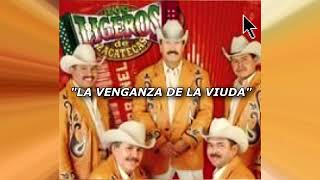 LOS LIGEROS DE ZACATECAS MIX 10 EXITOS PEGADITOS [upl. by Hayton583]