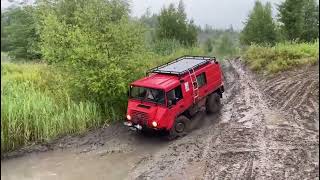 Pinzgauer und Haflinger im Gelände [upl. by Clint]