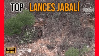 TOP LANCES DE JABALI  TEMPORADA DE MONTERÍAS 2022 2023 [upl. by Kuhlman324]