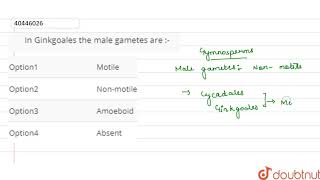 In Ginkgoales the male gametes are [upl. by Ebner344]