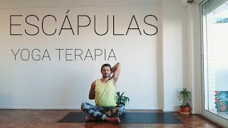 YOGA para ESCAPULAS CIFOSIS ESPALDA ALTA y CERVICAL Práctica terapéutica para hacer a diario [upl. by Ingrim]