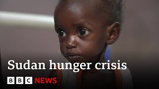 Inside the hospital dealing with Sudans famine  BBC News [upl. by Snehpets]